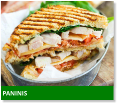 PANINIS